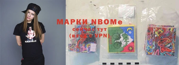 стаф Касимов