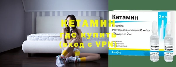 стаф Касимов