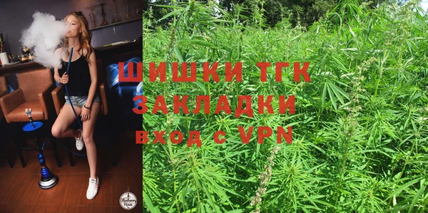 МДПВ Каменка