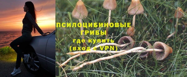 прущий лед Каменск-Шахтинский