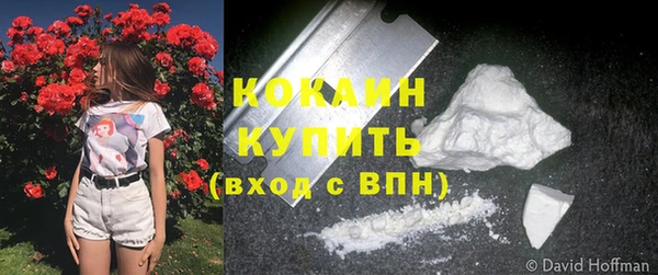 МДПВ Каменка